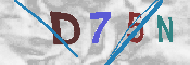 CAPTCHA 驗證圖片