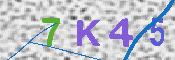 CAPTCHA 驗證圖片