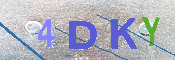 CAPTCHA 驗證圖片