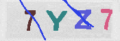 CAPTCHA 驗證圖片