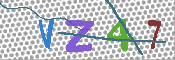 CAPTCHA 驗證圖片
