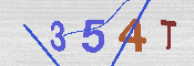 CAPTCHA 驗證圖片