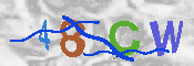 CAPTCHA 驗證圖片