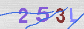 CAPTCHA 驗證圖片