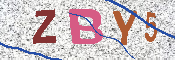 CAPTCHA 驗證圖片