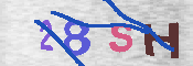 CAPTCHA 驗證圖片