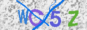 CAPTCHA 驗證圖片