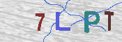 CAPTCHA 驗證圖片