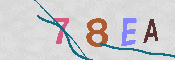 CAPTCHA 驗證圖片