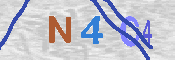 CAPTCHA 驗證圖片
