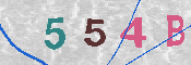 CAPTCHA 驗證圖片