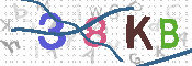 CAPTCHA 驗證圖片