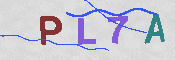 CAPTCHA 驗證圖片