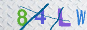 CAPTCHA 驗證圖片