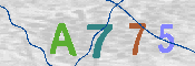 CAPTCHA 驗證圖片
