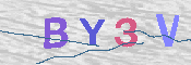 CAPTCHA 驗證圖片