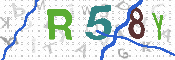 CAPTCHA 驗證圖片