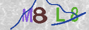 CAPTCHA 驗證圖片