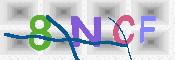 CAPTCHA 驗證圖片