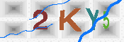 CAPTCHA 驗證圖片