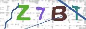 CAPTCHA 驗證圖片