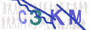 CAPTCHA 驗證圖片