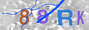 CAPTCHA 驗證圖片
