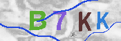 CAPTCHA 驗證圖片