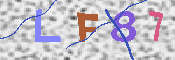 CAPTCHA 驗證圖片