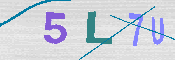 CAPTCHA 驗證圖片