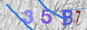 CAPTCHA 驗證圖片