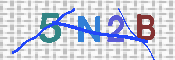 CAPTCHA 驗證圖片