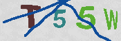 CAPTCHA 驗證圖片