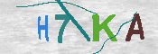 CAPTCHA 驗證圖片