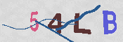 CAPTCHA 驗證圖片