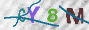 CAPTCHA 驗證圖片