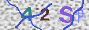 CAPTCHA 驗證圖片