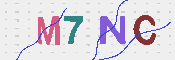 CAPTCHA 驗證圖片