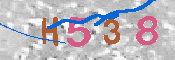 CAPTCHA 驗證圖片