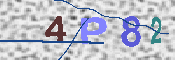 CAPTCHA 驗證圖片