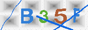 CAPTCHA 驗證圖片