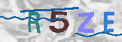 CAPTCHA 驗證圖片