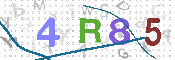 CAPTCHA 驗證圖片