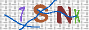 CAPTCHA 驗證圖片