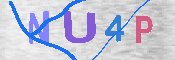 CAPTCHA 驗證圖片