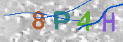 CAPTCHA 驗證圖片