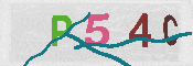 CAPTCHA 驗證圖片