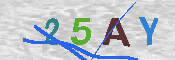 CAPTCHA 驗證圖片