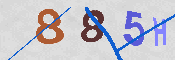 CAPTCHA 驗證圖片
