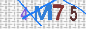 CAPTCHA 驗證圖片